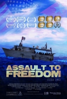 Ver película Assault to Freedom