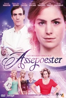 Ver película Assepoester: Een Modern Sprookje