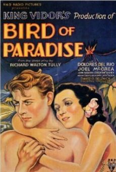 Bird of Paradise online