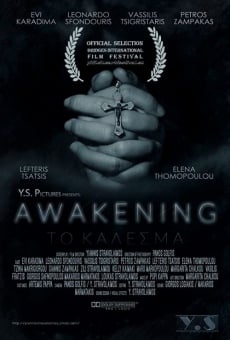 Ver película Awakening