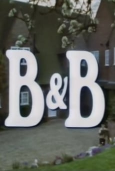 B & B