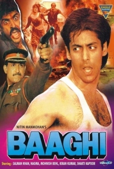 Baaghi: A Rebel for Love online kostenlos