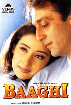 Baaghi