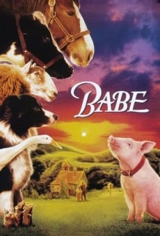 Ver película Babe, el cerdito valiente