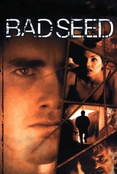 Bad Seed en ligne gratuit