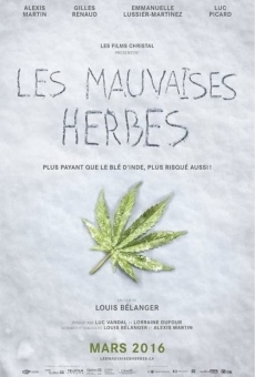 Les mauvaises herbes on-line gratuito