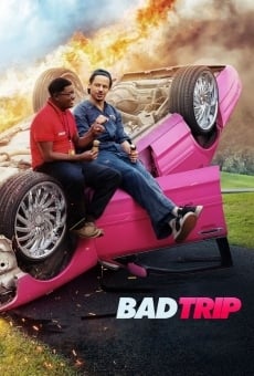 Bad Trip streaming en ligne gratuit