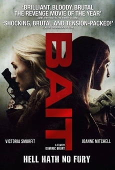 Bait streaming en ligne gratuit