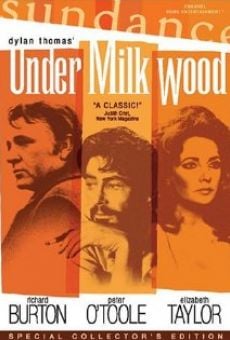 Under Milk Wood streaming en ligne gratuit
