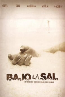 Bajo la sal