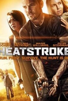 Heatstroke (2013)