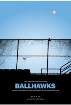 Watch Ballhawks online stream