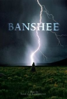 Ver película Banshee