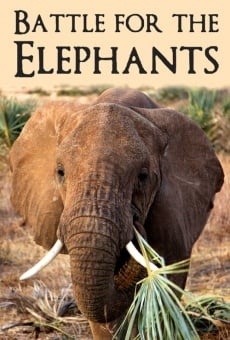 Ver película Battle for the Elephants
