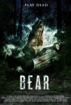 Bear on-line gratuito