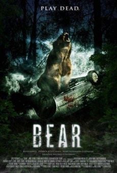 Bear online streaming