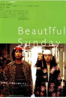 Ver película Beautiful Sunday