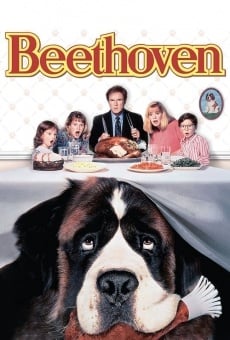 Ver película Beethoven, uno más de la familia