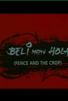 Watch Beli Mattu Hola online stream