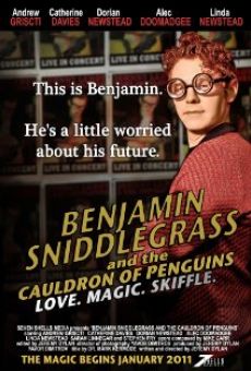 Ver película Benjamin Sniddlegrass and the Cauldron of Penguins