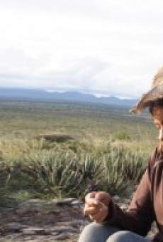 Beyond the Mexique Bay online streaming