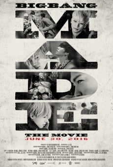 Big Bang Made the Movie online