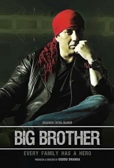 Big Brother online free