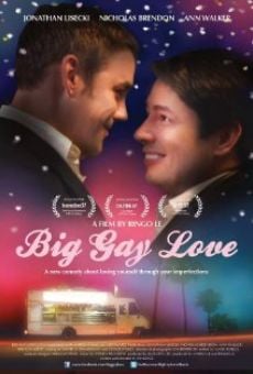 Ver película Big Gay Love