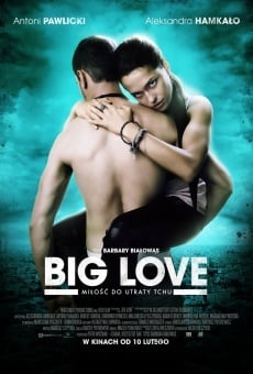 Watch Big Love online stream