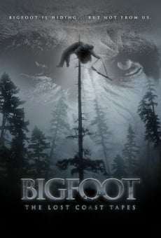 Ver película Bigfoot: The Lost Coast Tapes