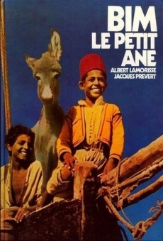 Bim, le petit âne