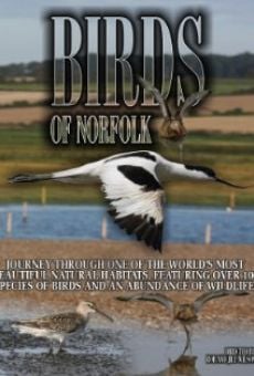 Watch Birds of Norfolk: A Bird Watchers Dream online stream