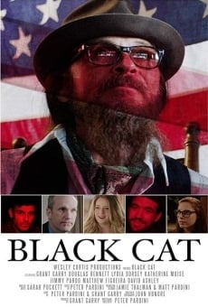 Ver película Gato negro