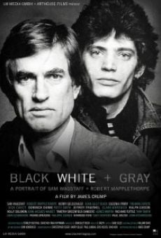 Black White + Gray: A Portrait of Sam Wagstaff and Robert Mapplethorpe streaming en ligne gratuit