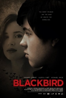 Blackbird streaming en ligne gratuit