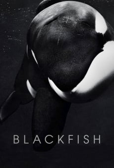 Blackfish gratis