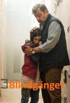 Ver película Blindgänger