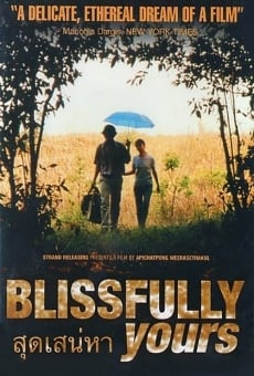 Ver película Blissfully Yours