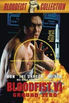 Ver película Bloodfist 6: Alerta Zero