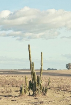 Blue Boy, película en español