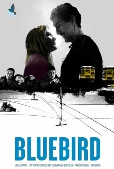 Bluebird (2013)