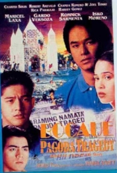 Bocaue Pagoda Tragedy online streaming