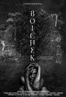 Ver película Boichek
