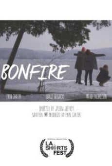 Ver película Bonfire