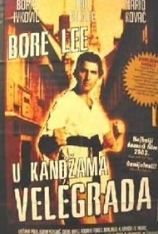 Bore Lee: U kandzama velegrada online free