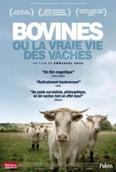 Watch Bovines ou la vraie vie des vaches online stream