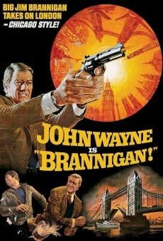 Ver película Brannigan