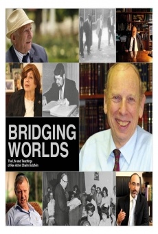 Bridging Worlds: The Life and Teachings of Rav Azriel Chaim Goldfein en ligne gratuit