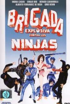 Ver película Brigada explosiva contra los ninjas