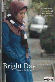Ver película Bright Day